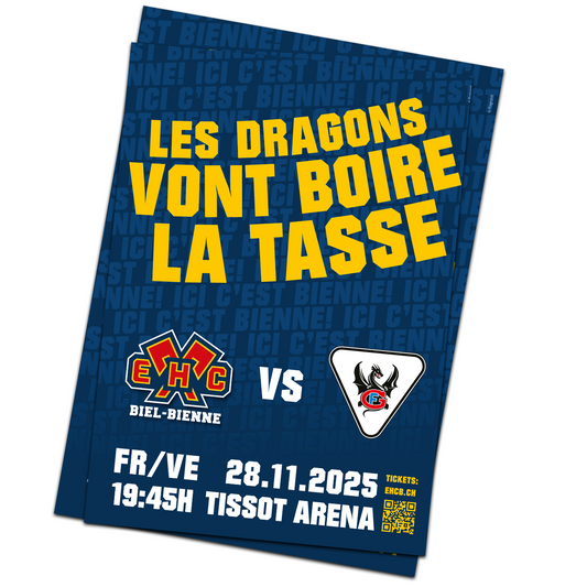 Affiche de match 28.11.2025 - HC Fribourg-Gottéron